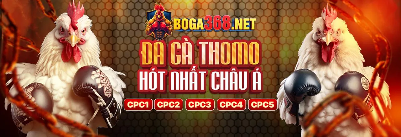 Các cấp độ VIP tại 89win